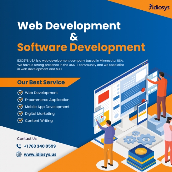 Web Development Consulting Agency in Minnesota